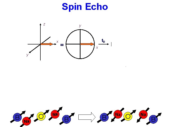 Spin Echo z y x y t. D x x y y dephasing y