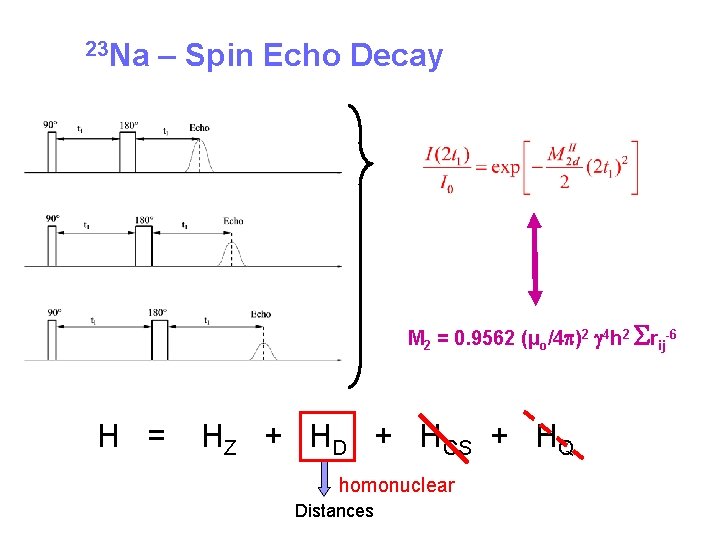 23 Na – Spin Echo Decay M 2 = 0. 9562 (µo/4 p)2 g