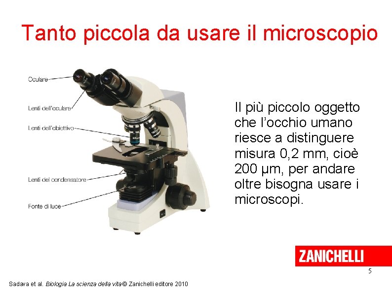 Tanto piccola da usare il microscopio Il più piccolo oggetto che l’occhio umano riesce