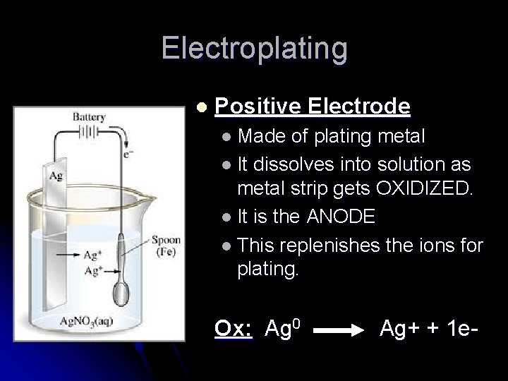 Electroplating l Positive Electrode l Made of plating metal l It dissolves into solution