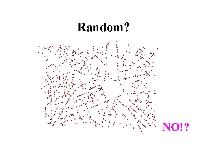 Random? NO!? 