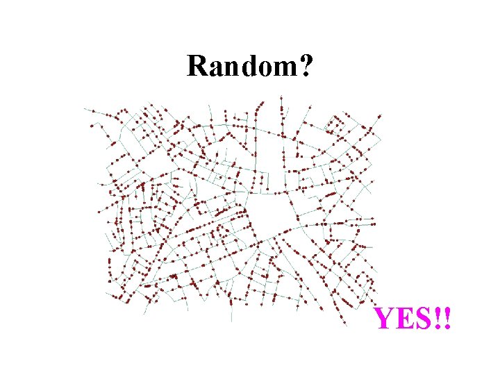 Random? YES!! 