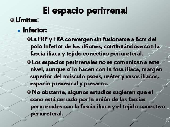 El espacio perirrenal Límites: n Inferior: La FRP y FRA convergen sin fusionarse a