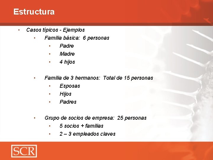 Estructura • Casos típicos - Ejemplos • Familia básica: 6 personas • Padre •