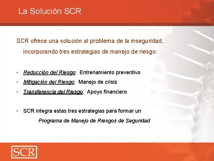 La Solución SCR ofrece una solución al problema de la inseguridad, incorporando tres estrategias