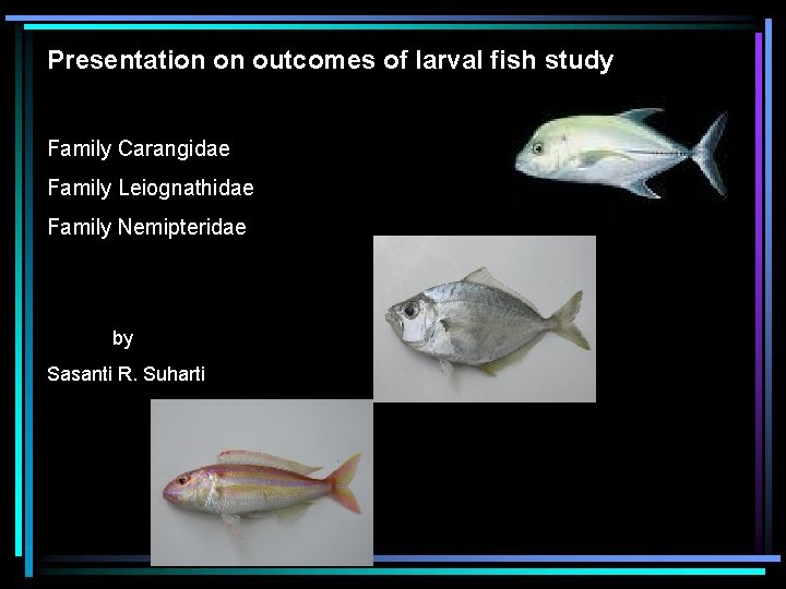 Presentation on outcomes of larval fish study Family Carangidae Family Leiognathidae Family Nemipteridae by