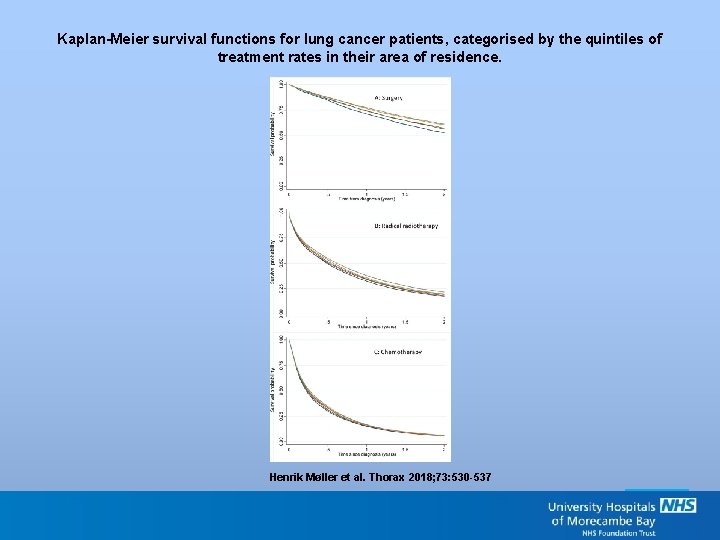 Kaplan-Meier survival functions for lung cancer patients, categorised by the quintiles of treatment rates