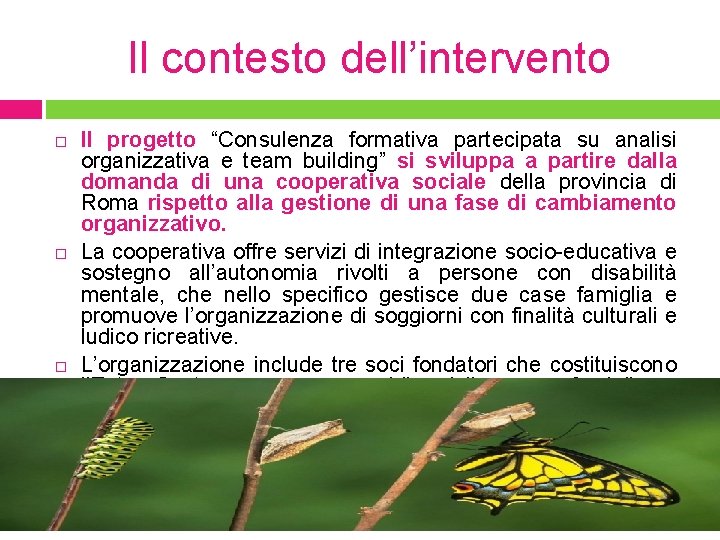 Il contesto dell’intervento Il progetto “Consulenza formativa partecipata su analisi organizzativa e team building”