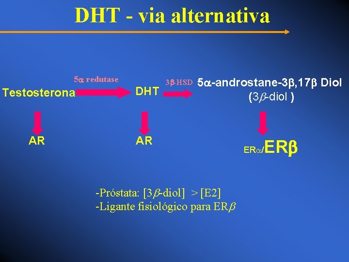 DHT - via alternativa 5 redutase Testosterona DHT AR AR 3 -HSD 5 -androstane-3