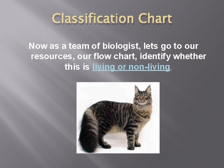 Classification Chart Now as a team of biologist, lets go to our resources, our