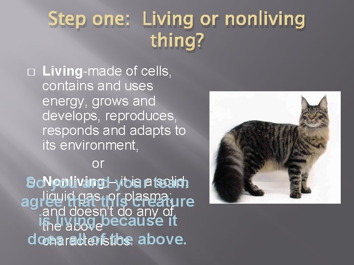 Step one: Living or nonliving thing? Living-made of cells, contains and uses energy, grows