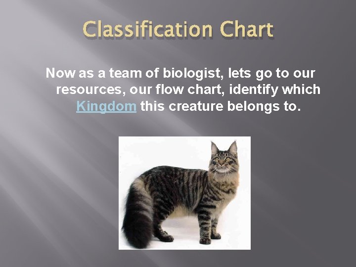 Classification Chart Now as a team of biologist, lets go to our resources, our