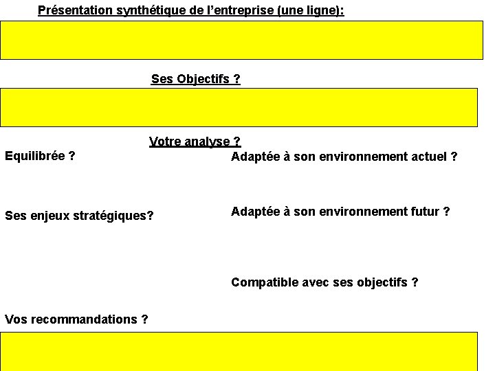 Présentation synthétique de l’entreprise (une ligne): Ses Objectifs ? Votre analyse ? Equilibrée ?