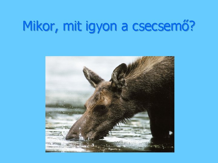 Mikor, mit igyon a csecsemő? 