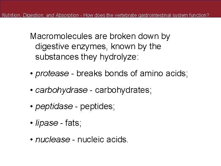 Nutrition, Digestion, and Absorption - How does the vertebrate gastrointestinal system function? Macromolecules are