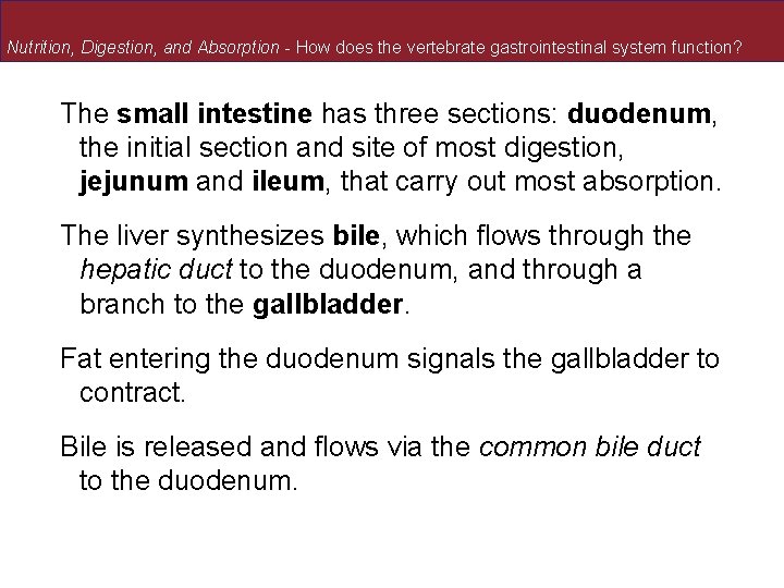 Nutrition, Digestion, and Absorption - How does the vertebrate gastrointestinal system function? The small