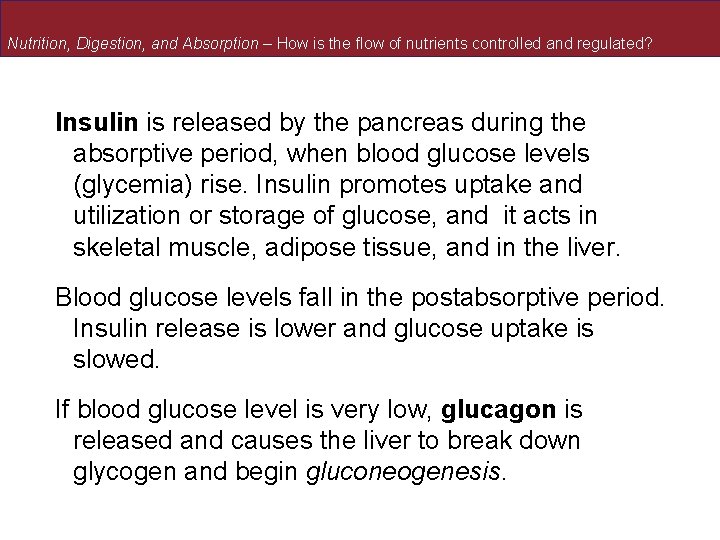 Nutrition, Digestion, and Absorption – How is the flow of nutrients controlled and regulated?