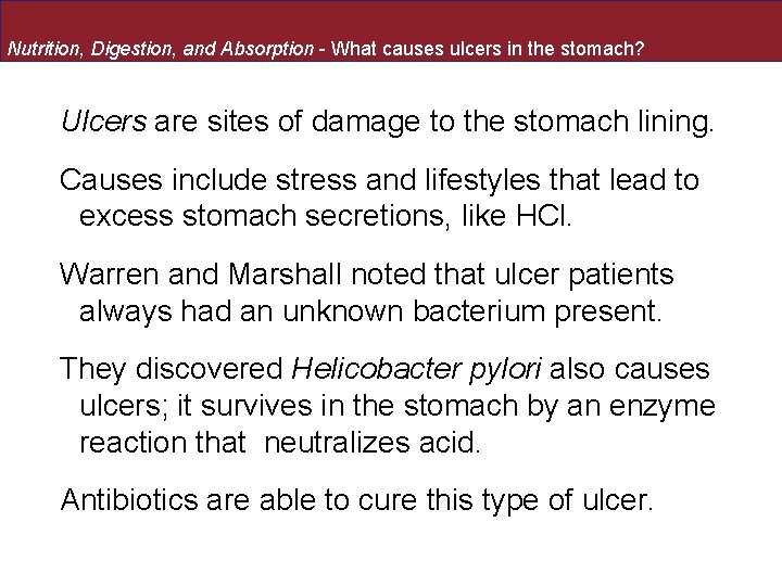 Nutrition, Digestion, and Absorption - What causes ulcers in the stomach? Ulcers are sites