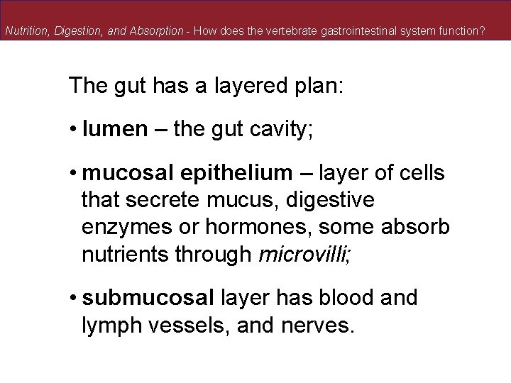 Nutrition, Digestion, and Absorption - How does the vertebrate gastrointestinal system function? The gut