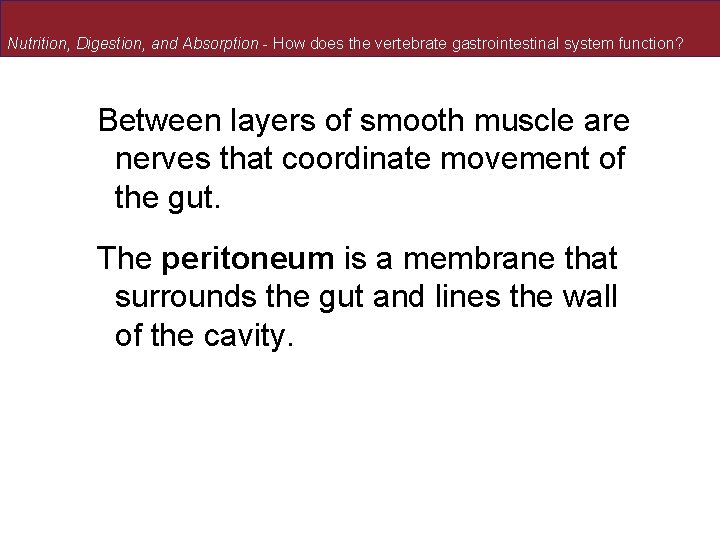 Nutrition, Digestion, and Absorption - How does the vertebrate gastrointestinal system function? Between layers