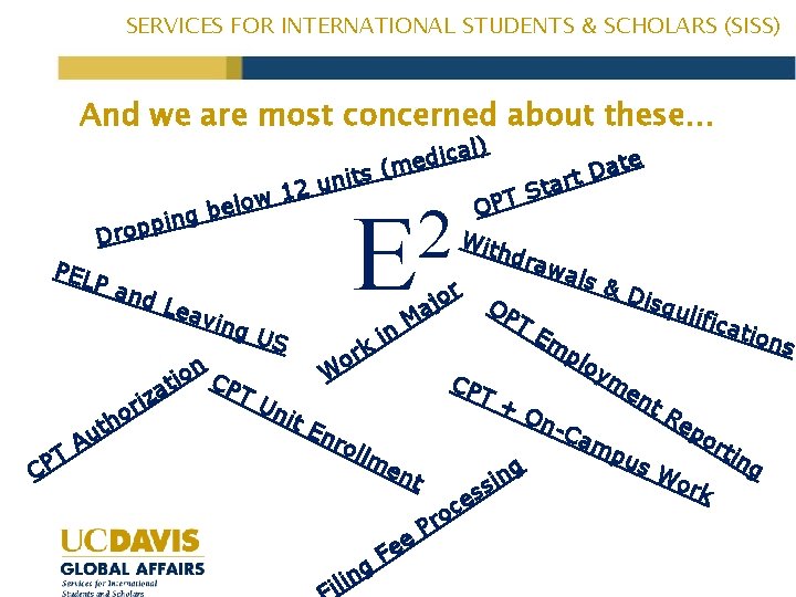 SERVICES FOR INTERNATIONAL STUDENTS & SCHOLARS (SISS) And we are most concerned about these…