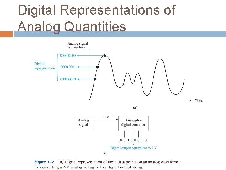 Digital Representations of Analog Quantities 