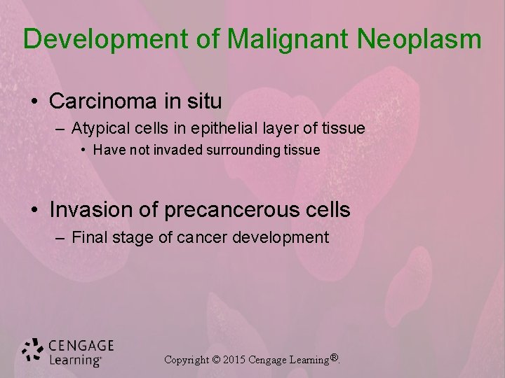 Development of Malignant Neoplasm • Carcinoma in situ – Atypical cells in epithelial layer