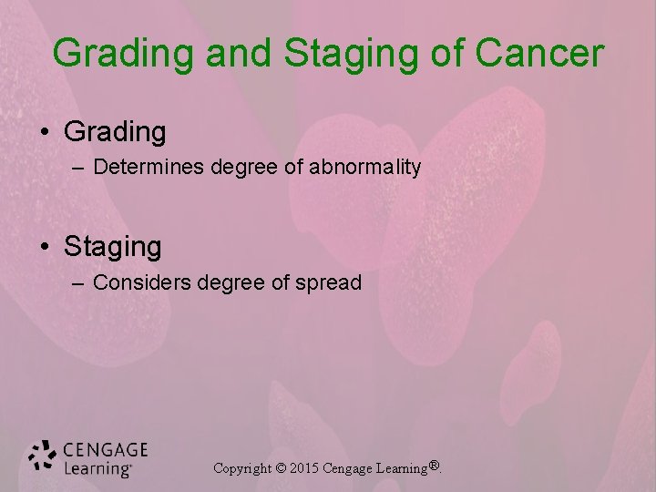 Grading and Staging of Cancer • Grading – Determines degree of abnormality • Staging