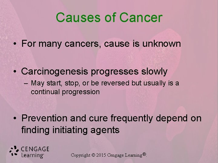 Causes of Cancer • For many cancers, cause is unknown • Carcinogenesis progresses slowly