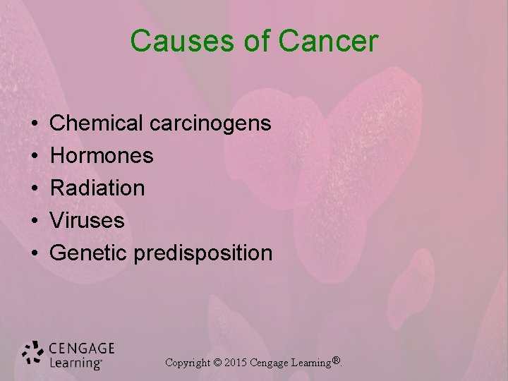 Causes of Cancer • • • Chemical carcinogens Hormones Radiation Viruses Genetic predisposition Copyright