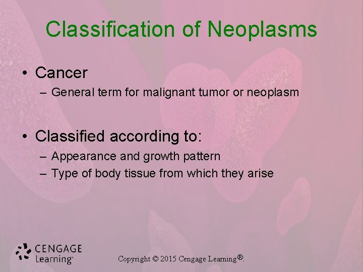 Classification of Neoplasms • Cancer – General term for malignant tumor or neoplasm •