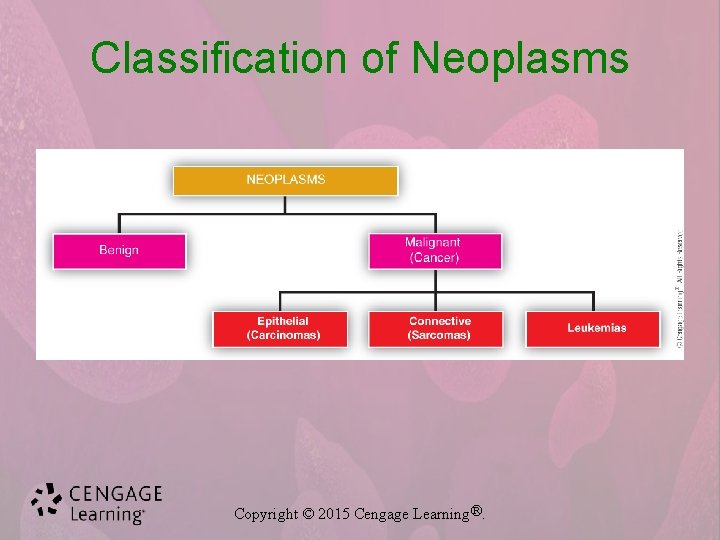 Classification of Neoplasms Copyright © 2015 Cengage Learning®. 