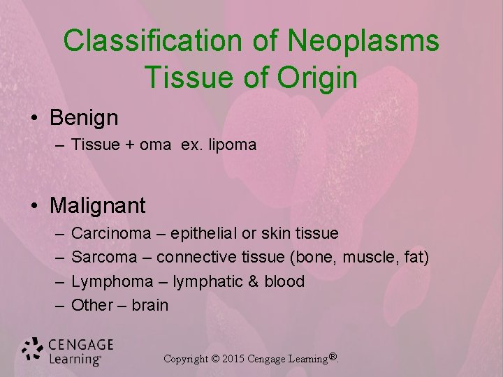 Classification of Neoplasms Tissue of Origin • Benign – Tissue + oma ex. lipoma