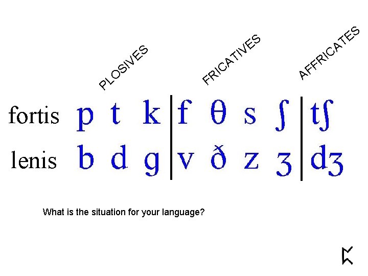 ES V I S O L P fortis lenis What is the situation for