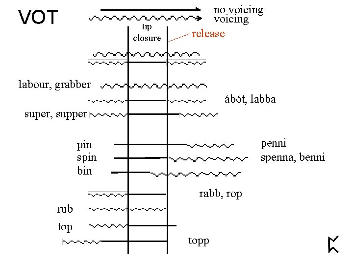 VOT lip closure no voicing release labour, grabber ábót, labba super, supper penni spenna,