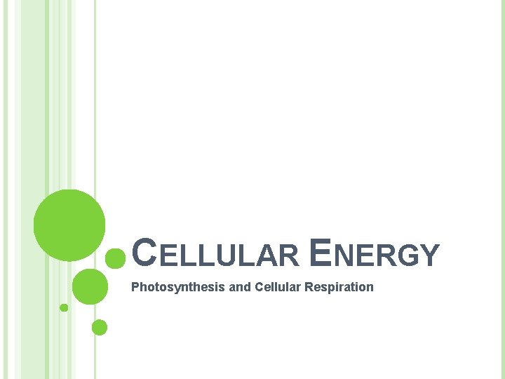 CELLULAR ENERGY Photosynthesis and Cellular Respiration 