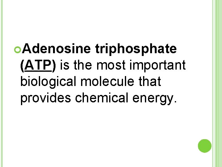  Adenosine triphosphate (ATP) is the most important biological molecule that provides chemical energy.