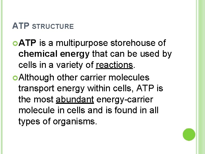 ATP STRUCTURE ATP is a multipurpose storehouse of chemical energy that can be used