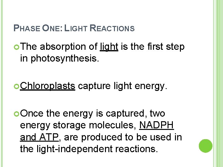 PHASE ONE: LIGHT REACTIONS The absorption of light is the first step in photosynthesis.