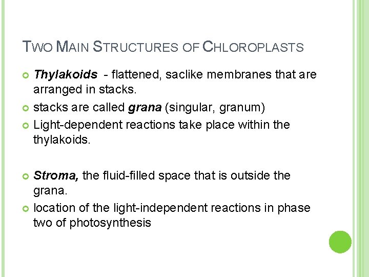 TWO MAIN STRUCTURES OF CHLOROPLASTS Thylakoids - flattened, saclike membranes that are arranged in