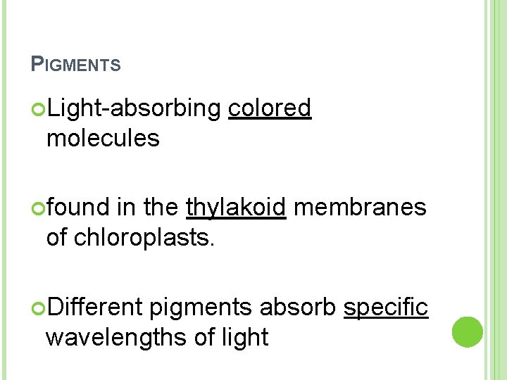 PIGMENTS Light-absorbing colored molecules found in the thylakoid membranes of chloroplasts. Different pigments absorb