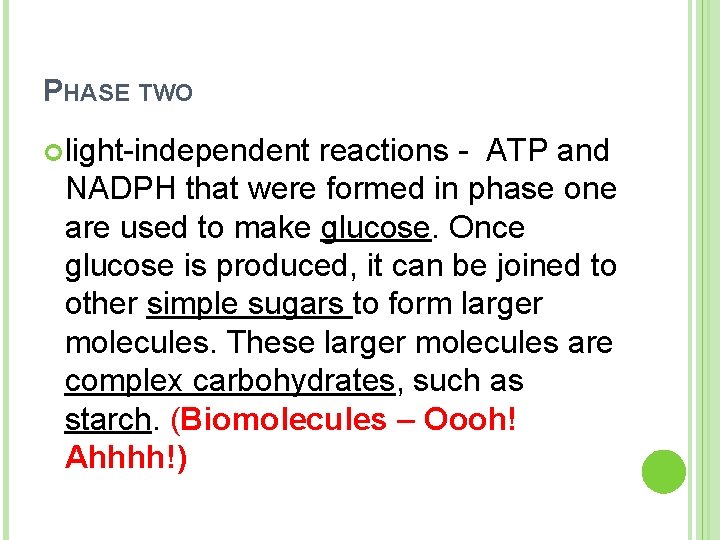 PHASE TWO light-independent reactions - ATP and NADPH that were formed in phase one