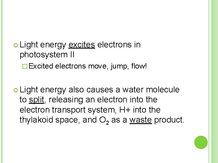  Light energy excites electrons in photosystem II � Excited electrons move, jump, flow!