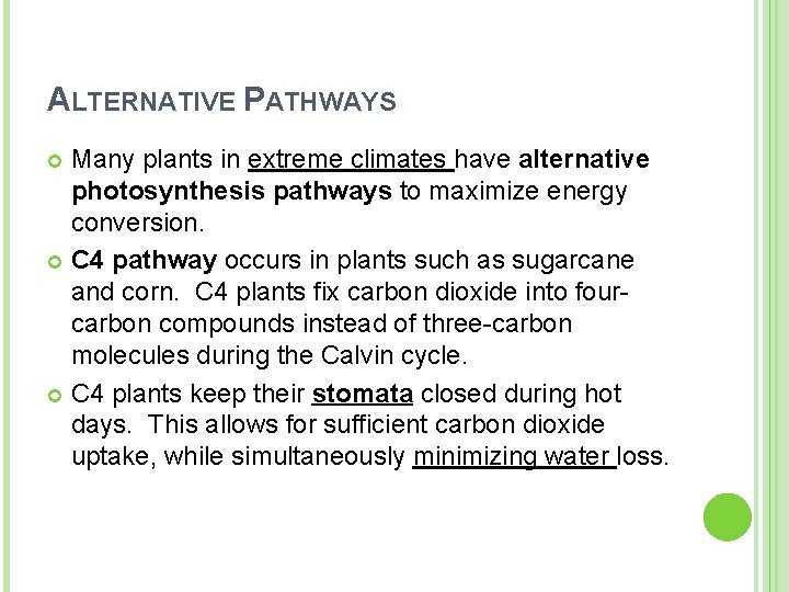 ALTERNATIVE PATHWAYS Many plants in extreme climates have alternative photosynthesis pathways to maximize energy ALTERNATIVE PATHWAYS Many plants in extreme climates have alternative photosynthesis pathways to maximize energy