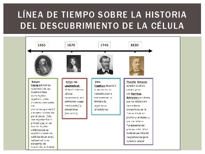 LÍNEA DE TIEMPO SOBRE LA HISTORIA DEL DESCUBRIMIENTO DE LA CÉLULA LÍNEA DE TIEMPO SOBRE LA HISTORIA DEL DESCUBRIMIENTO DE LA CÉLULA