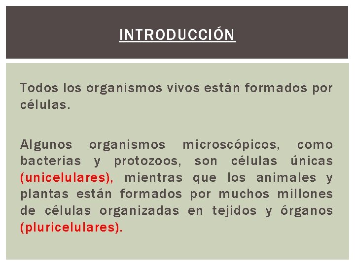 INTRODUCCIÓN Todos los organismos vivos están formados por células. Algunos organismos microscópicos, como bacterias INTRODUCCIÓN Todos los organismos vivos están formados por células. Algunos organismos microscópicos, como bacterias
