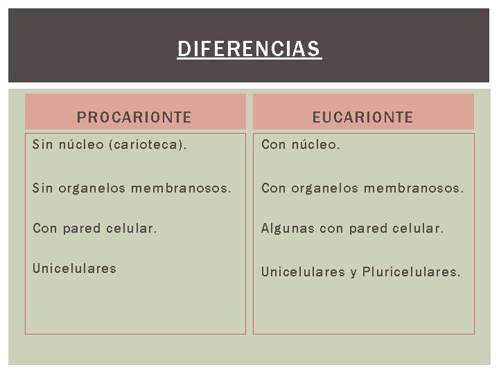 DIFERENCIAS PROCARIONTE EUCARIONTE Sin núcleo (carioteca). Con núcleo. Sin organelos membranosos. Con pared celular. DIFERENCIAS PROCARIONTE EUCARIONTE Sin núcleo (carioteca). Con núcleo. Sin organelos membranosos. Con pared celular.