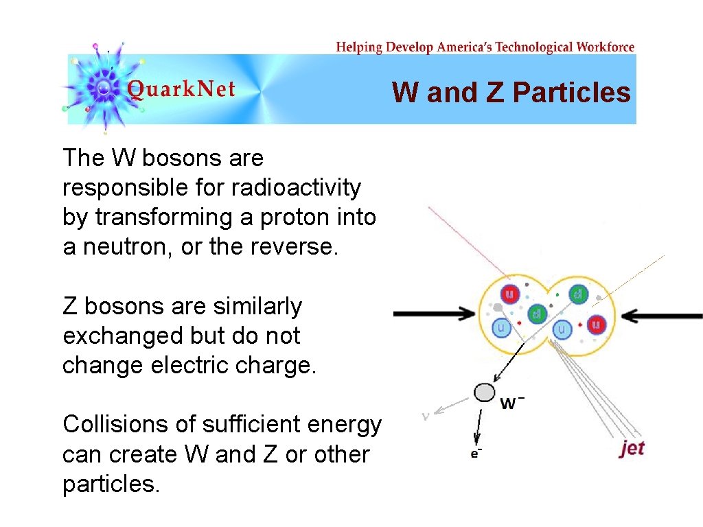 W and Z Particles The W bosons are responsible for radioactivity by transforming a