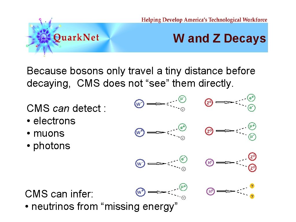 W and Z Decays Because bosons only travel a tiny distance before decaying, CMS