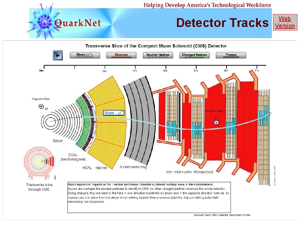 Detector Tracks Web Version 